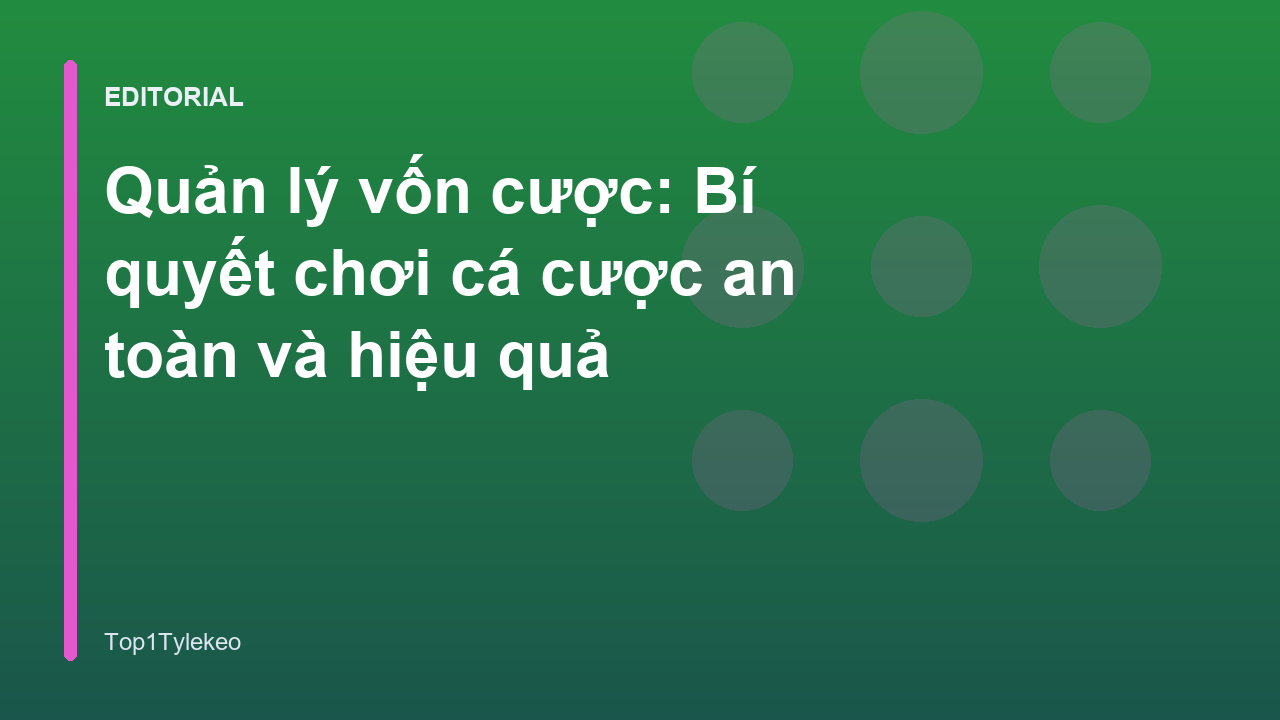 Biểu đồ quản lý vốn cược hiệu quả